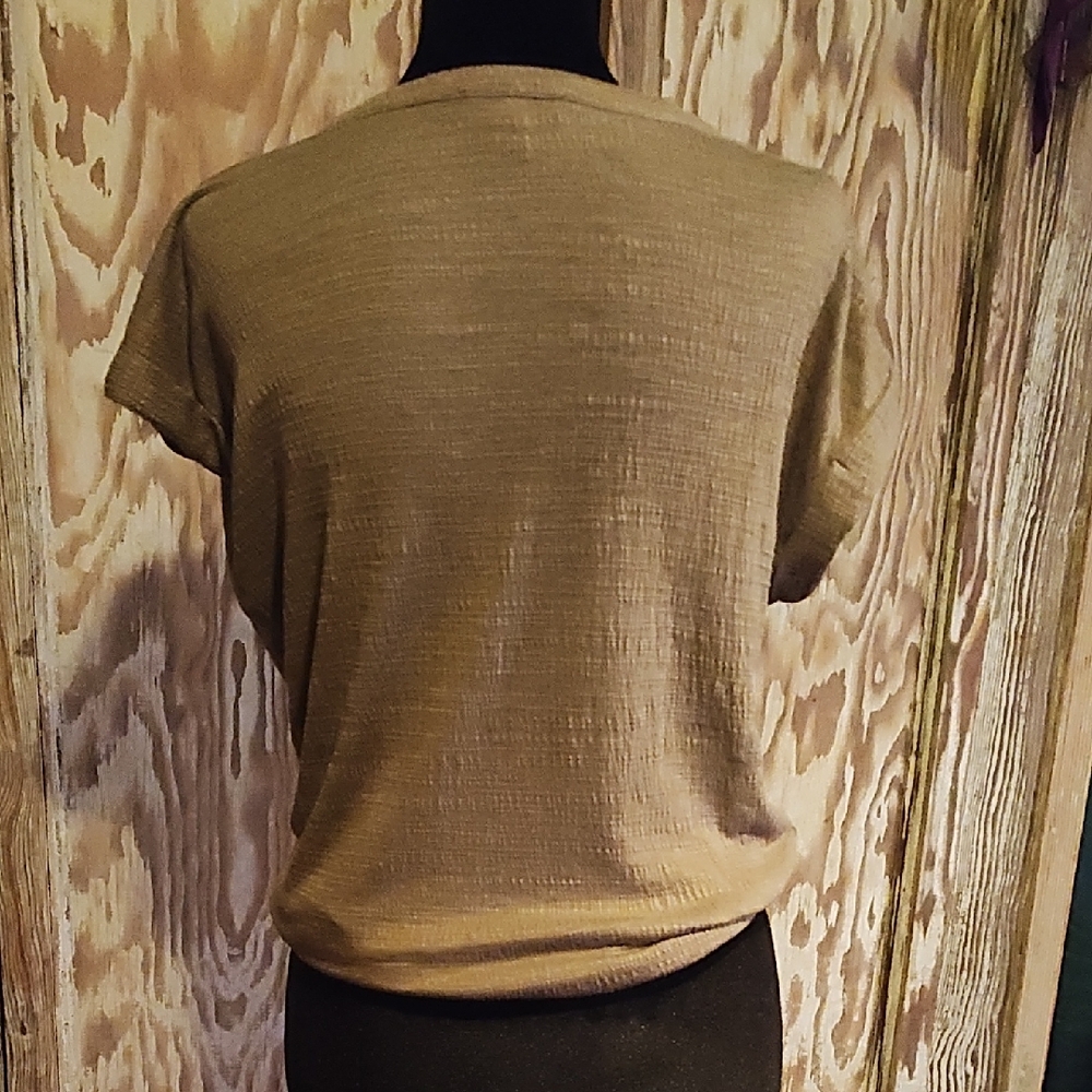 Cable & Gauge Taupe Button-Down Tie Front Summer Shirt - Picture 3 of 5